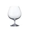 Brilliant Gastro/Colibri Brandy/Cognac Glass -Home-Kitchen brilliant brilliant gastro colibri brandy cognac g
