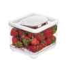 IDesign ID Fresh Small Rectangle Produce Storage Bowl -Home-Kitchen idesign idesign id fresh small rectangle produce s