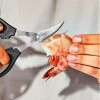 Oxo Curved Seafood Scissors 1 Oxo Curved Seafood Scissors -Home-Kitchen oxo oxo curved seafood scissors