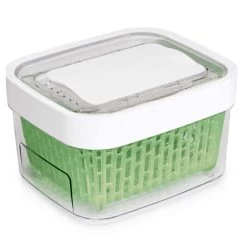 Oxo Small Green Saver Produce Keeper