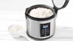 Ricardo Rice Cooker -Home-Kitchen ricardo ricardo rice cooker 2