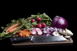 Senshi 18 Cm Damascus Steel Santoku Knife