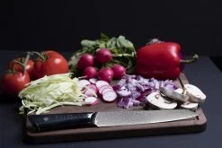 Senshi Damascus Steel 20 Cm Slicing Knife