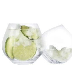 Stemless Gin Copa Glass With Coasters