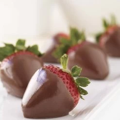 Wilton Chocolate And Candy Melts Pro Melting Pot -Home-Kitchen wilton wilton chocolate and candy melts pro meltin 4